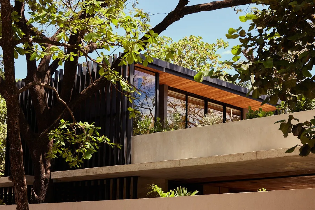 Calma House villa treehouse seating area built into a mature tree, Nosara