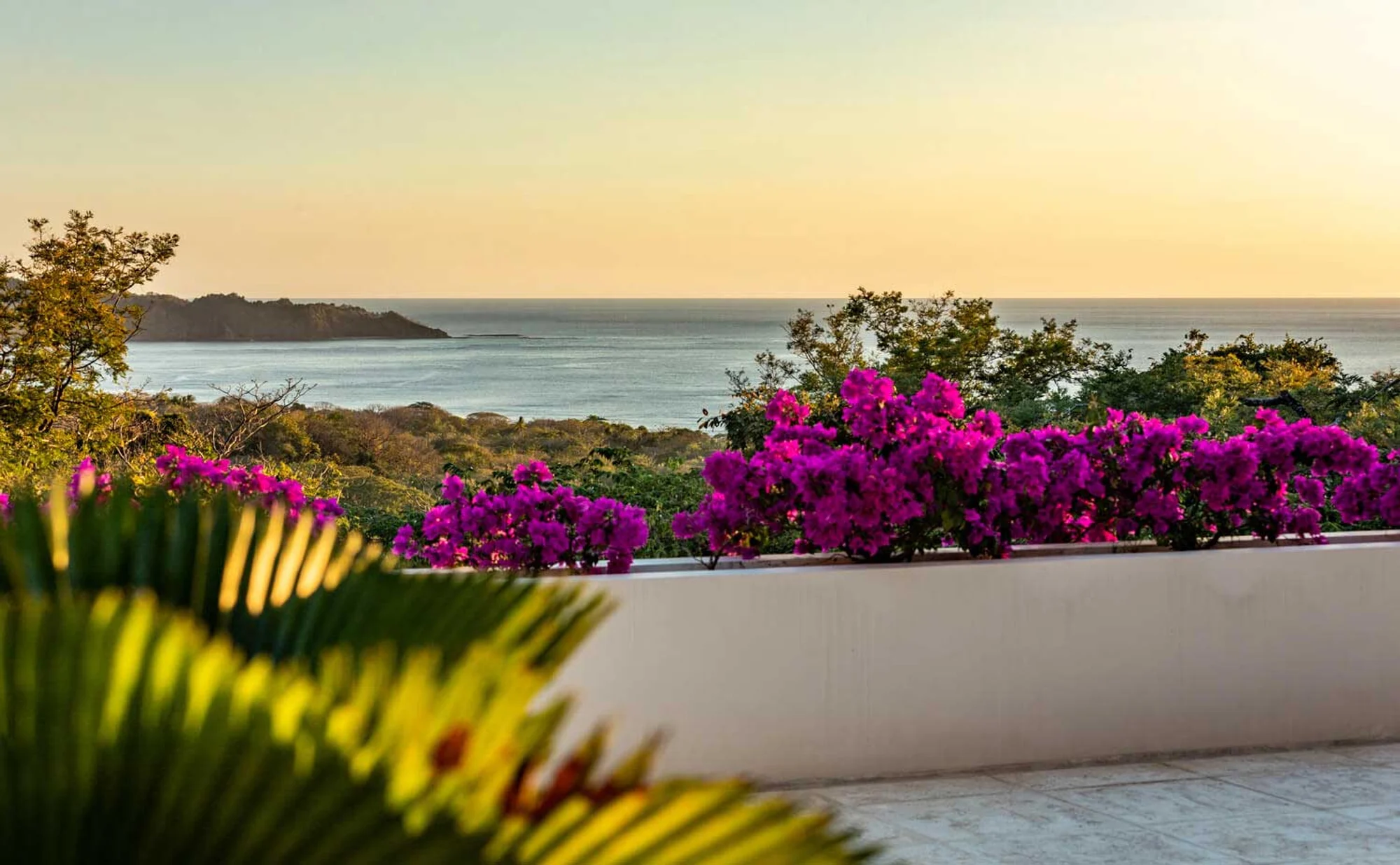 Calla Lily villa sunset ocean view with bougainvillea, Nosara, Costa Rica