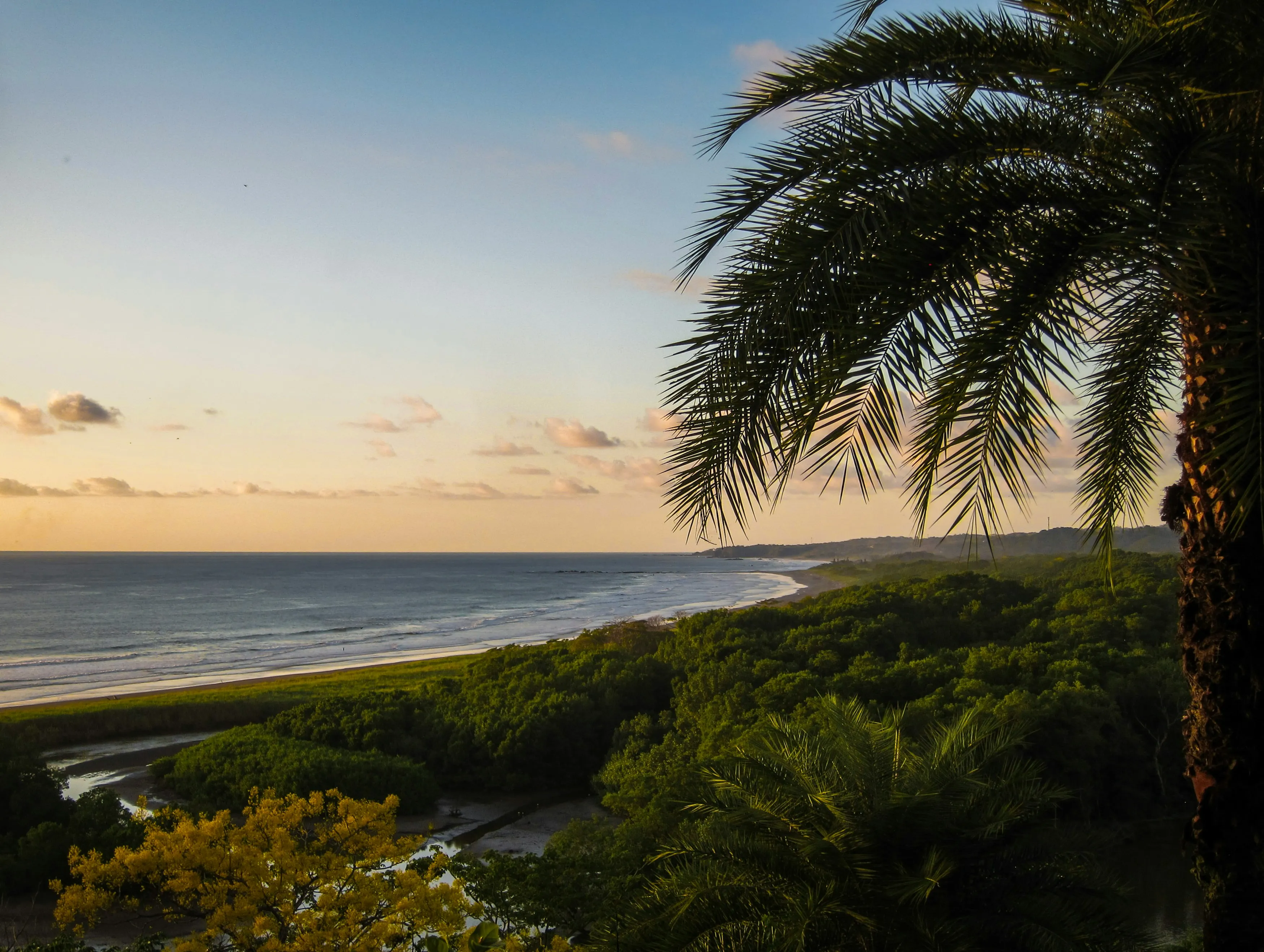 Sunset over the Nosara coast with a palm-fringed foreground, Nicoya Peninsula, Costa Rica