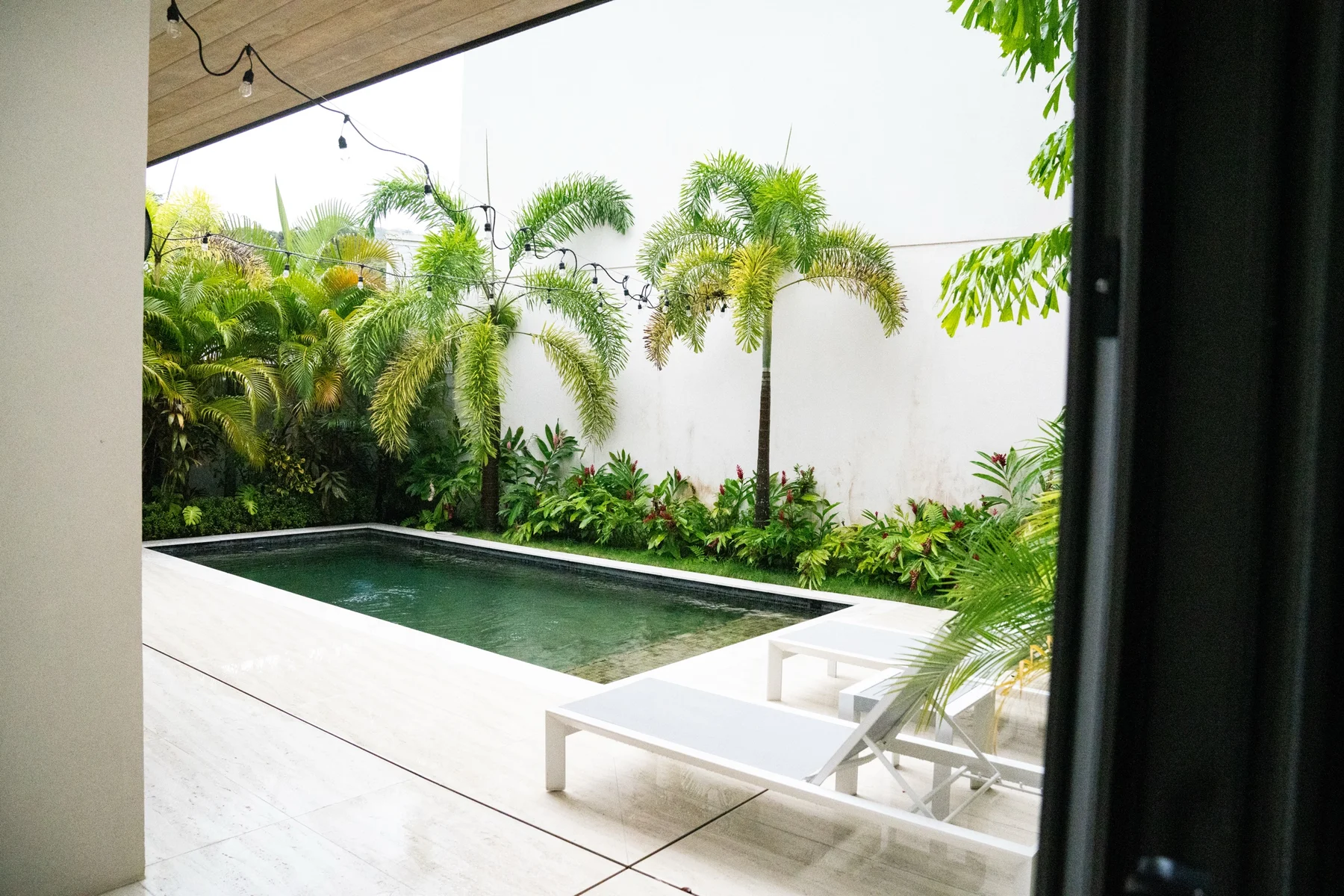 The private pool at Villa Blanco, with loungers, palms, and string lights at Playa Guiones, Nosara